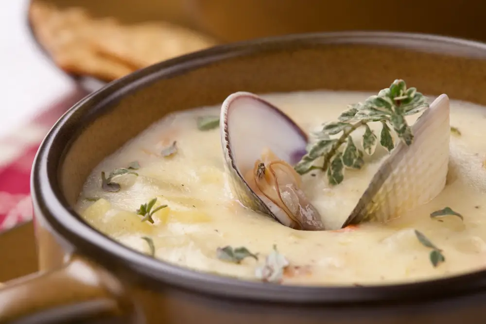 clam chowder recipe, 