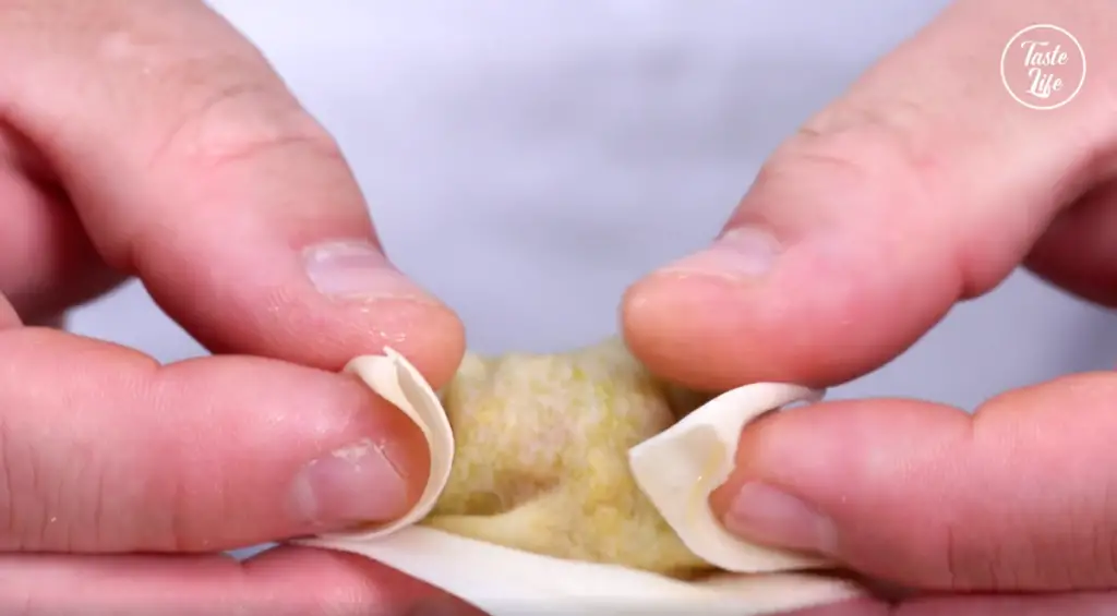 how to fold wontons, how to wrap wontons, folding wontons, how to fold square dumplings